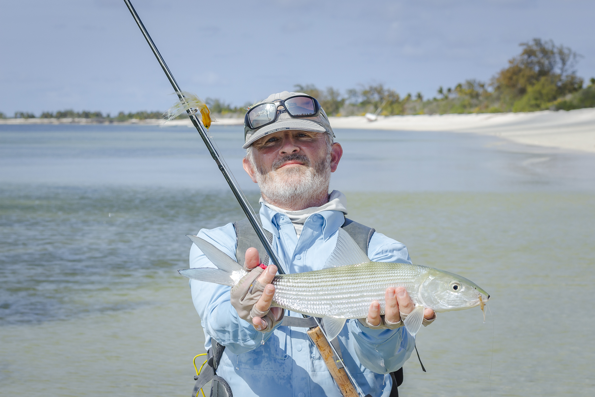 Bonefish on the reef of Astove