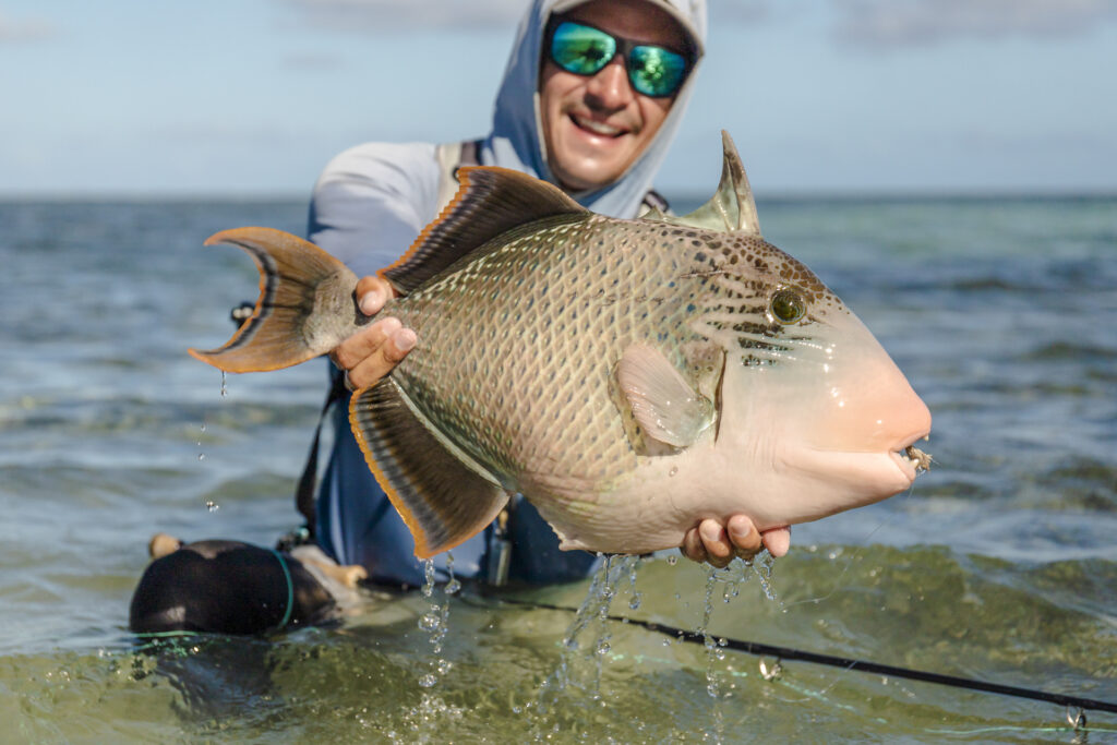 Angler caught a yellowmargin triggerfish in Seychelles