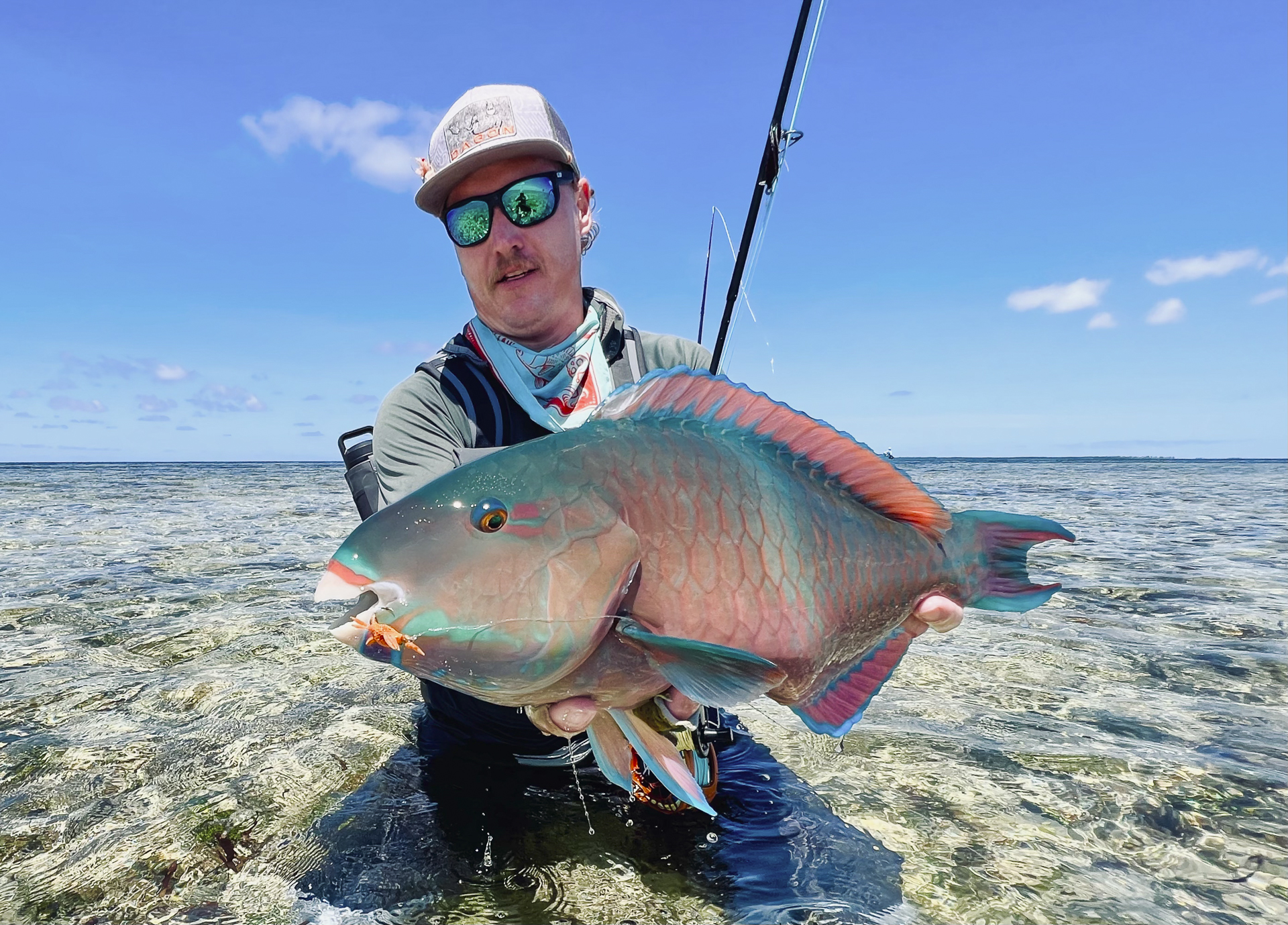 Angler with a parrotfish on Cosmoledo