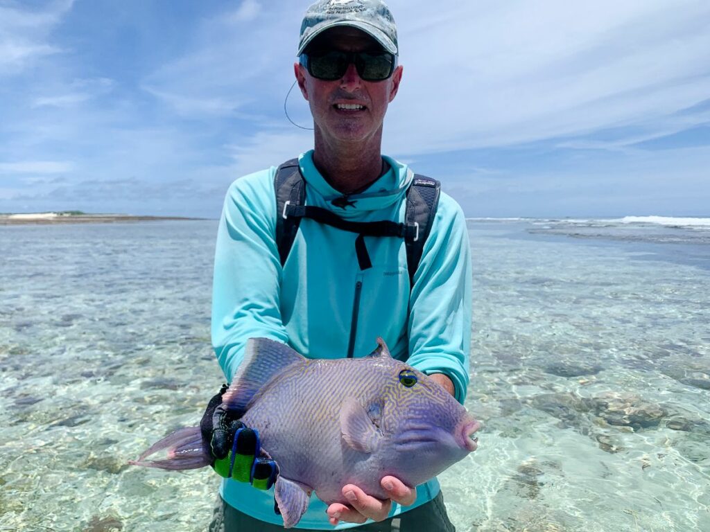 In the moving water landed a triggerfish