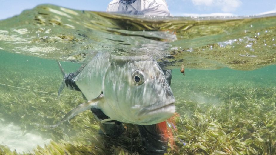 fishing at Astove atoll