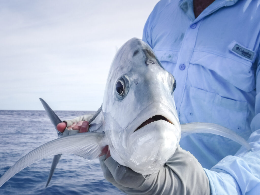 A GT landed in the Seychelles