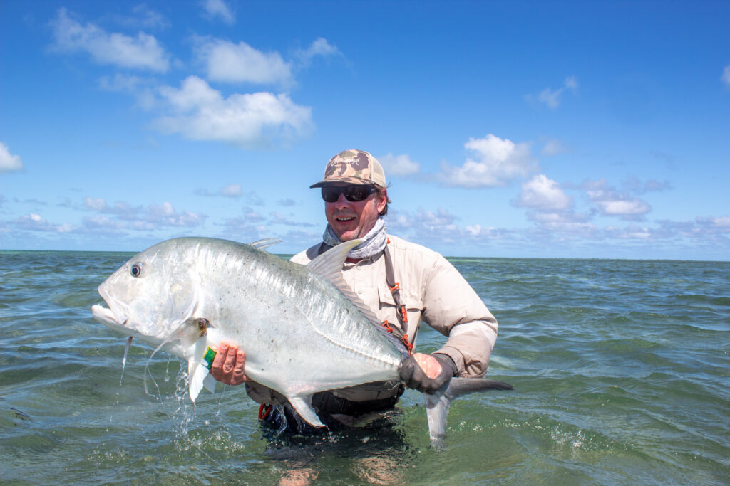 Angler at Cosomledo Atoll releasing a 1 metre mark GT into the ocean