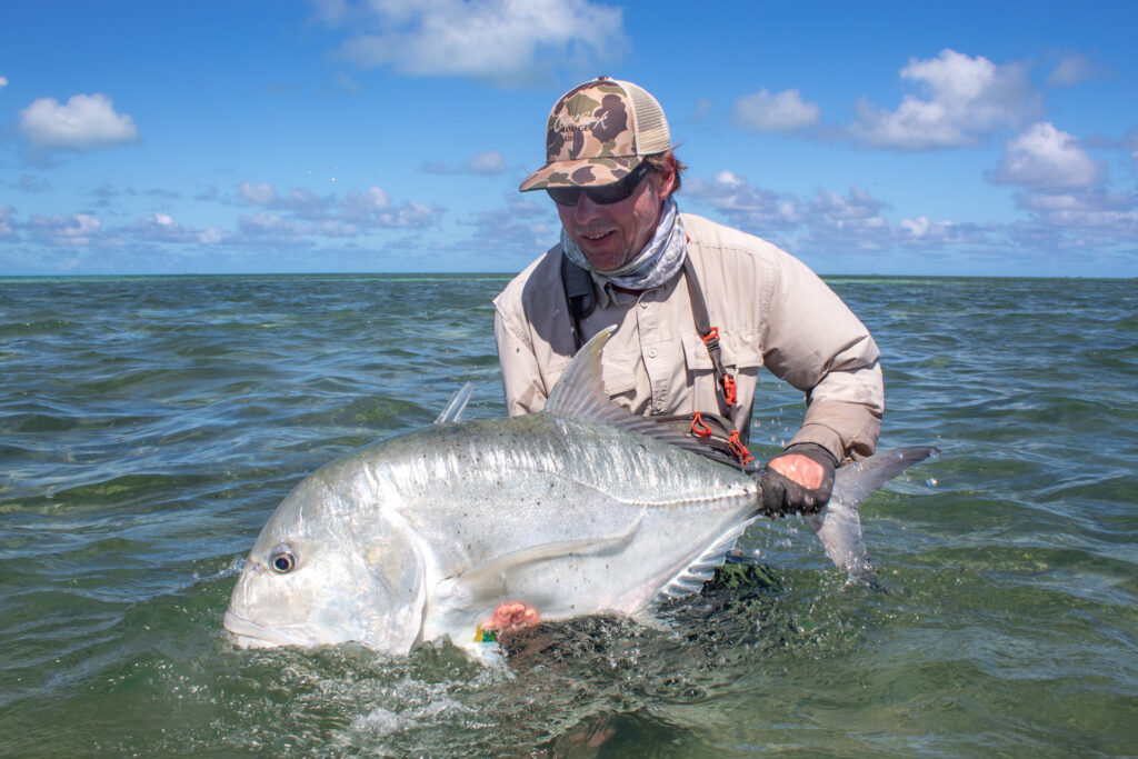 Angler at Cosmoledo Atoll releasing one metre mark giant trevally into the ocean