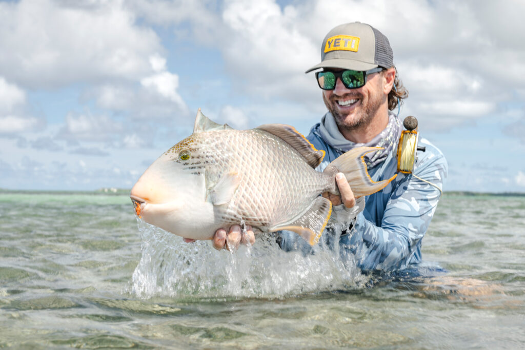 Alphonse Fishing Co Yellowmargin Triggerfish