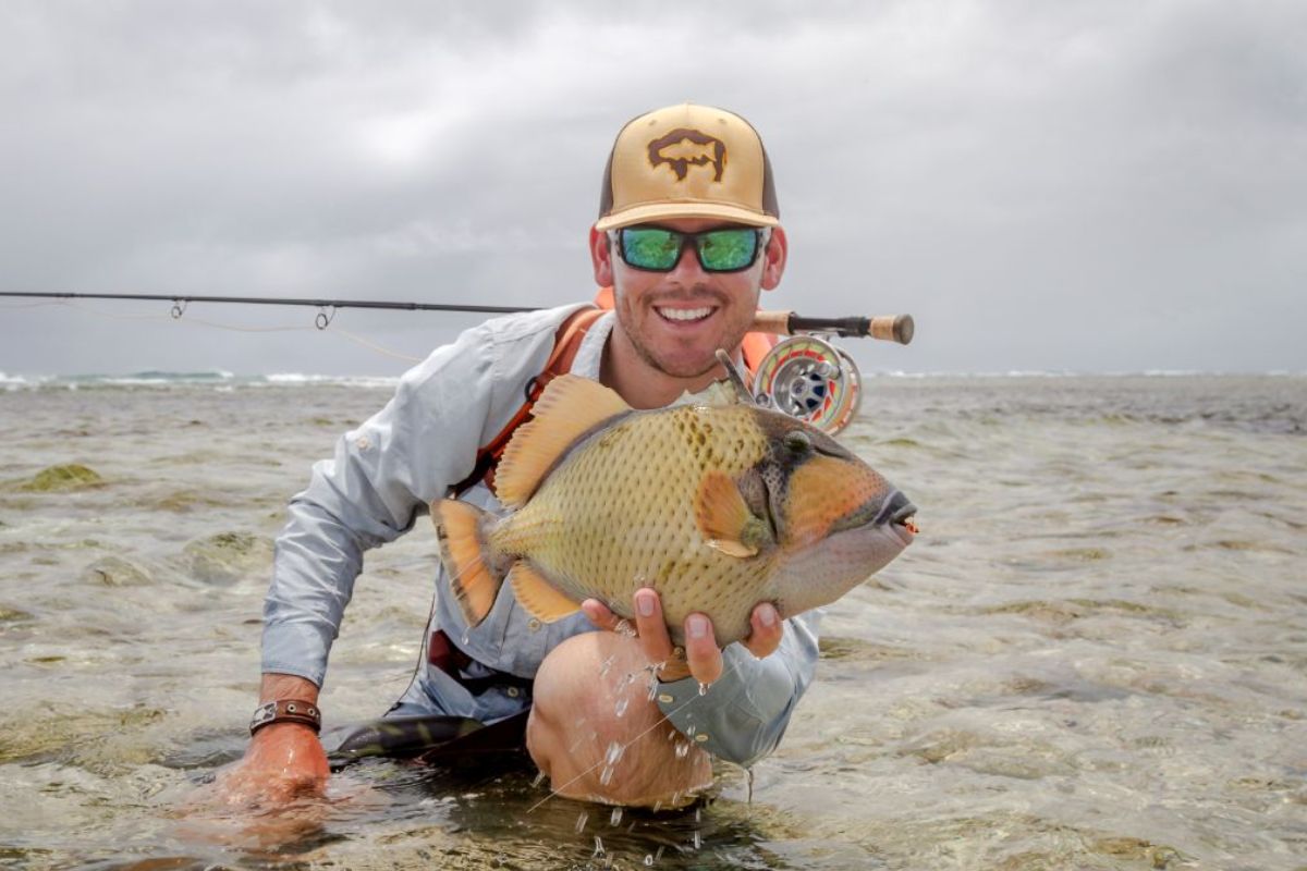 Triggerfish landed through fly fishing