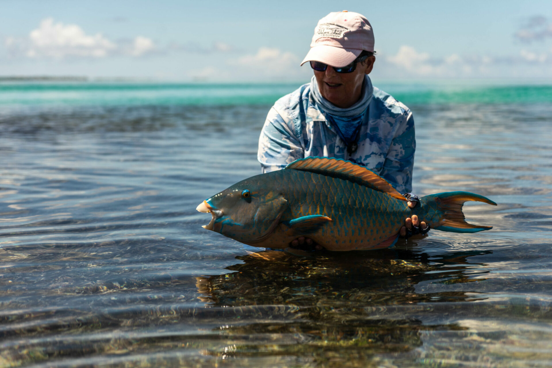 Parrotfish on the flats
