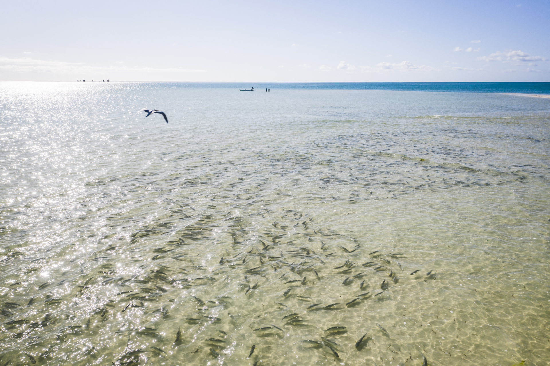 Perfect fishing conditions in Seychelles