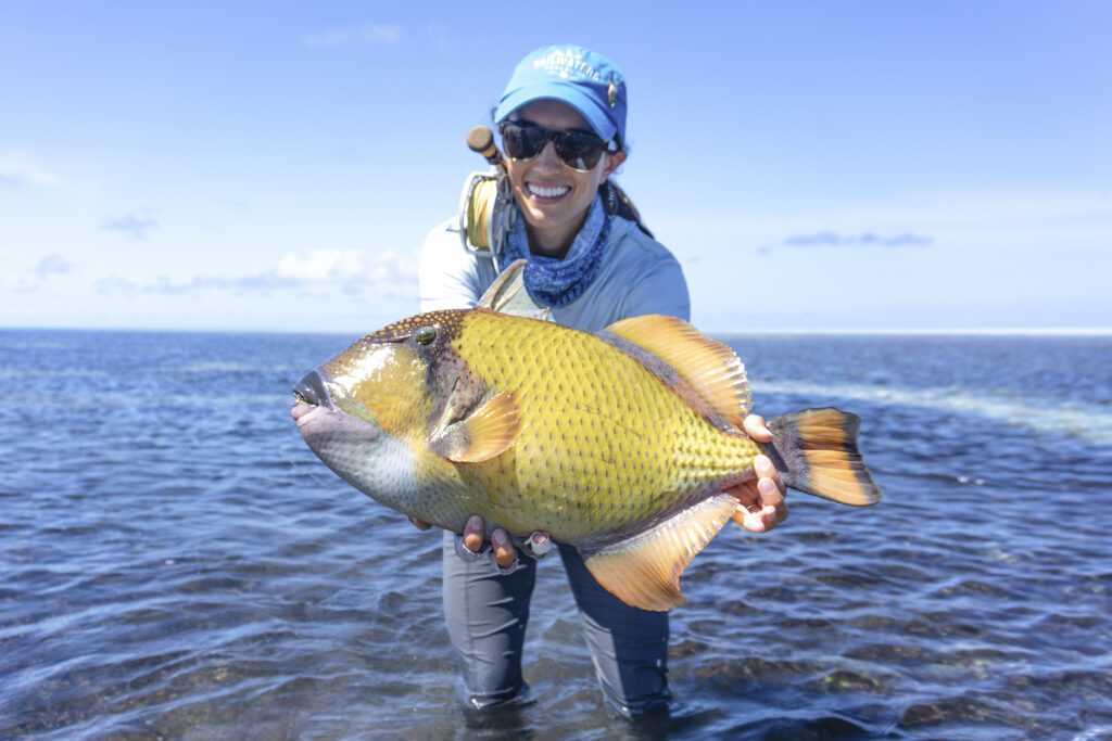 Alphonse Fishing Co Moustache Triggerfish