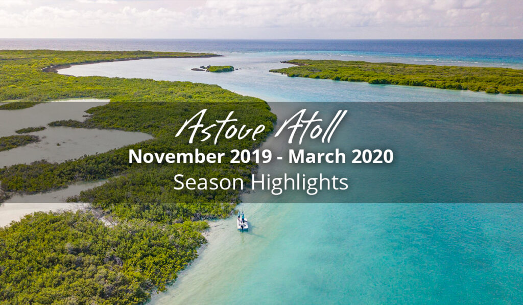 Astove Atoll Season Highlights