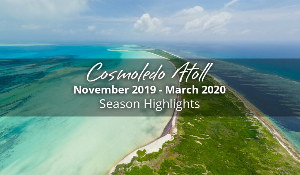 Cosmoledo Atoll Season highlights