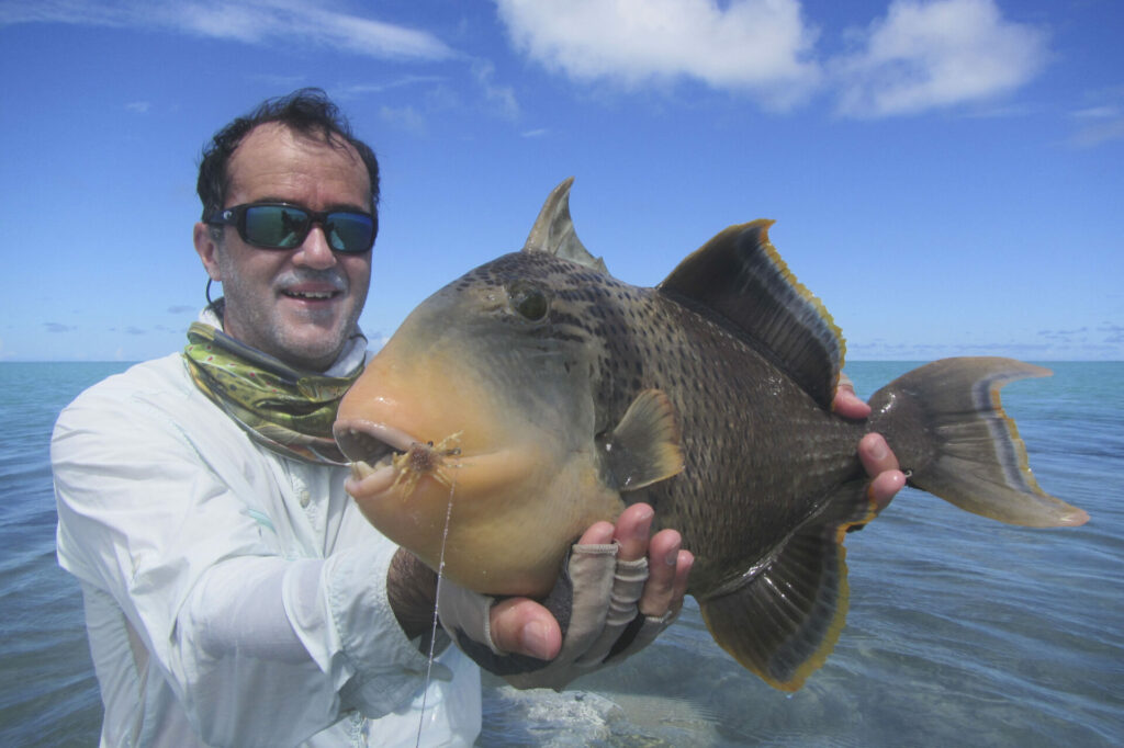 Top Sticks Finger a triggerfish is landed