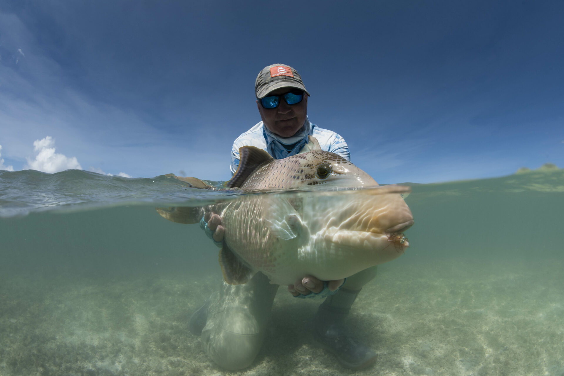 A large triggerfish caught at Alphonse Island