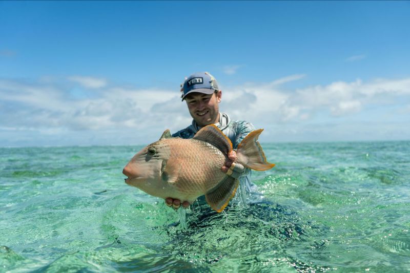 Triggerfish caught at Alphonse Island - one of 12 rods during a great week