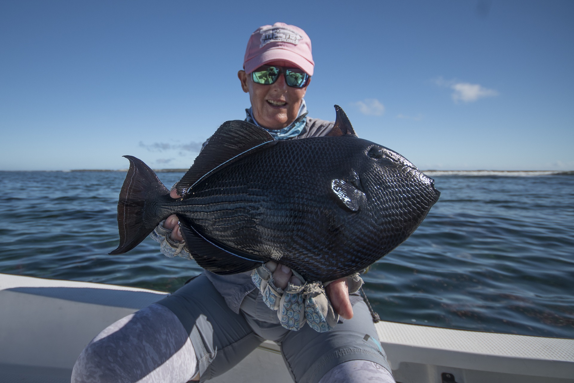 Black triggerfish landed at Cosmoledo Atoll
