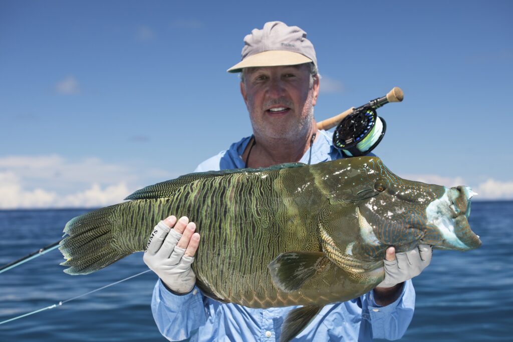 Bumphead wrasse landed at Cosmoledo Atoll