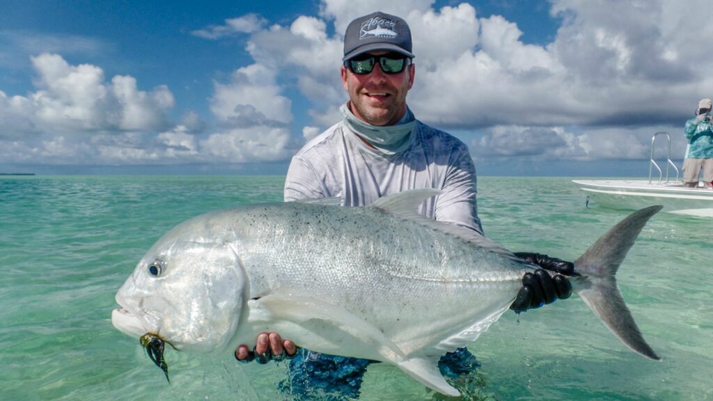 Full of variety of catches like this geet