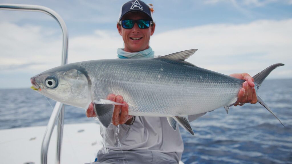 Great weather for catching a milkfish landed by angler