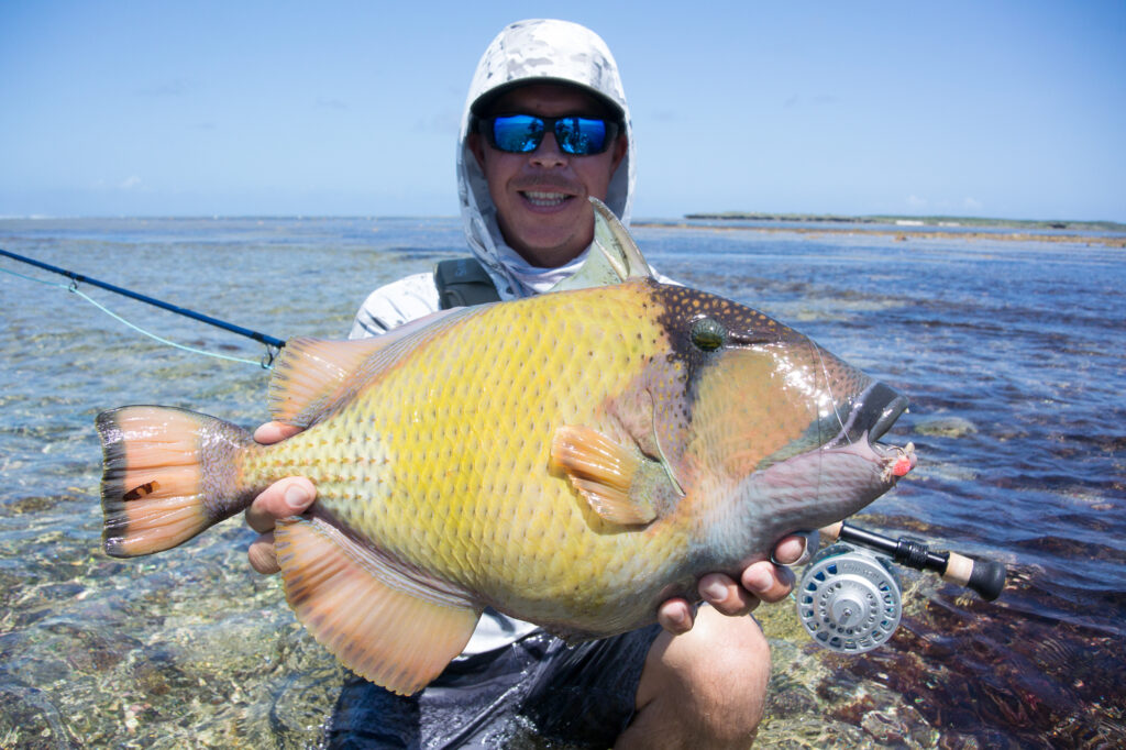 Great tides for triggerfish