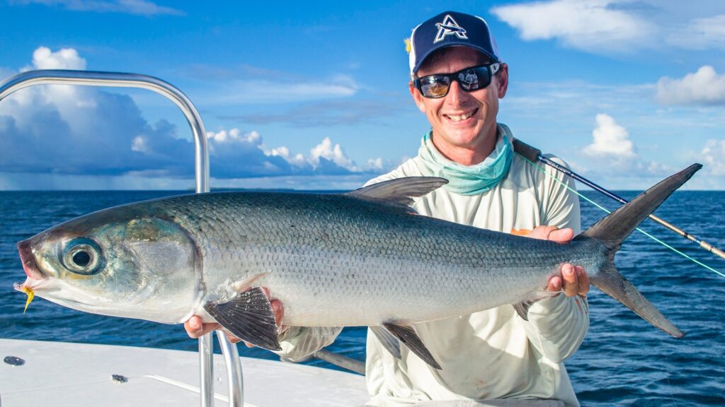 Impressive milkfish catch at Alphonse Island