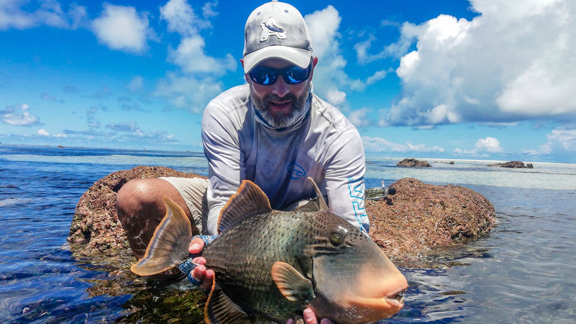 Triggerfish caught at Alphonse Island