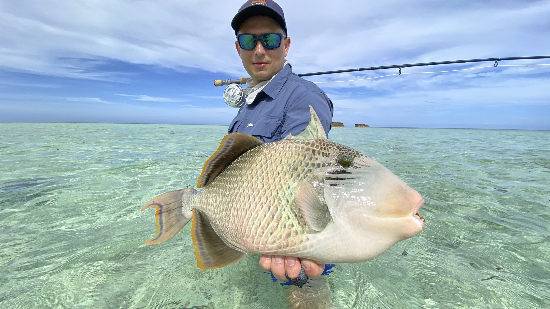 A week of fishing and a triggerfish was landed