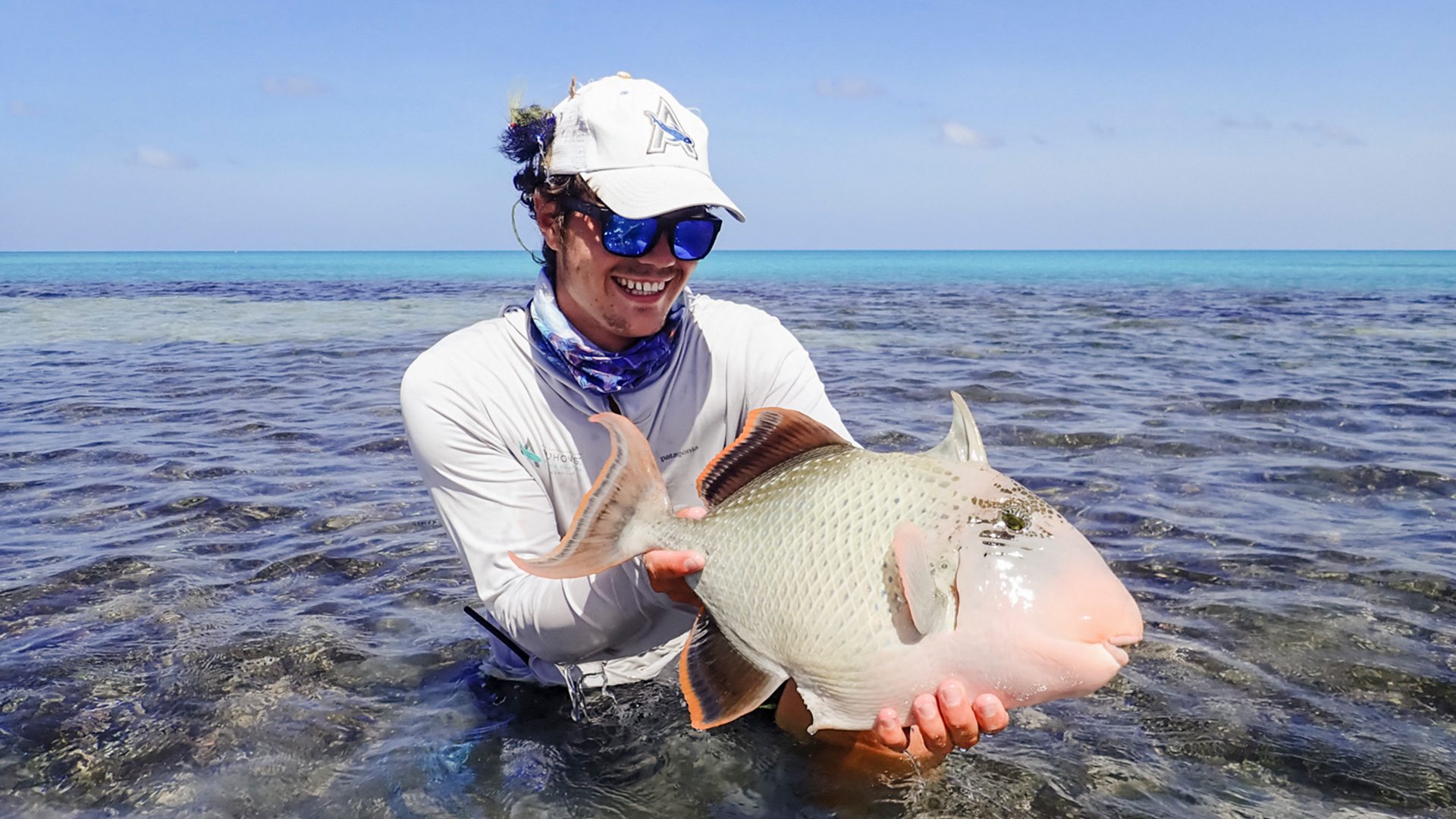 Triggerfish with angler