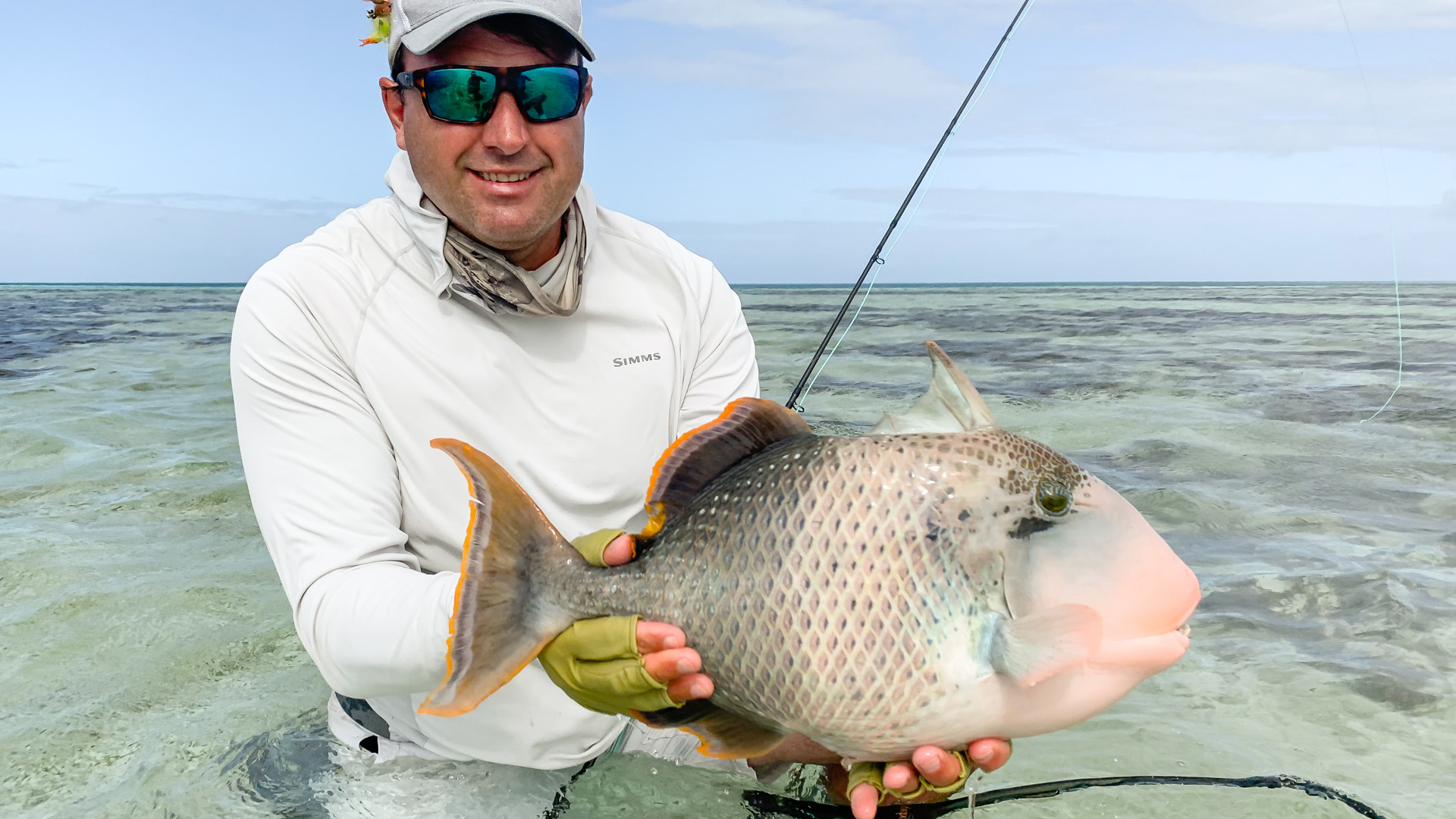 Triggerfish landed not inside the lagoon, but on the flats