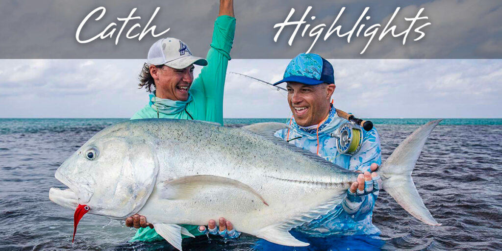 catch highlights during the season hightlights