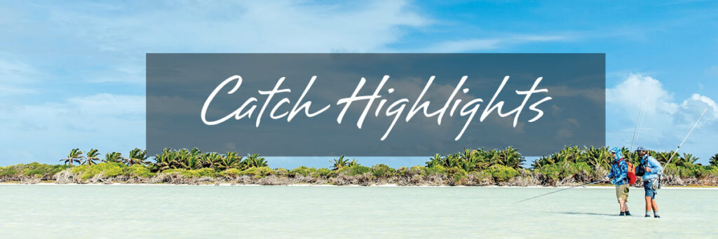 Astove Atoll Season Highlights - Catch highlights
