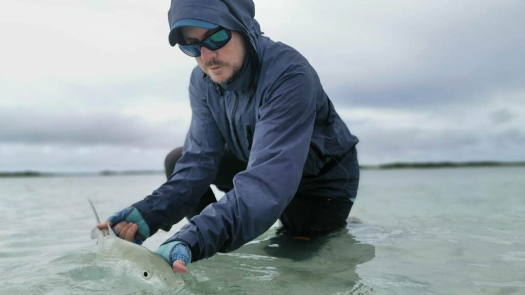 Bonefish being released by angler