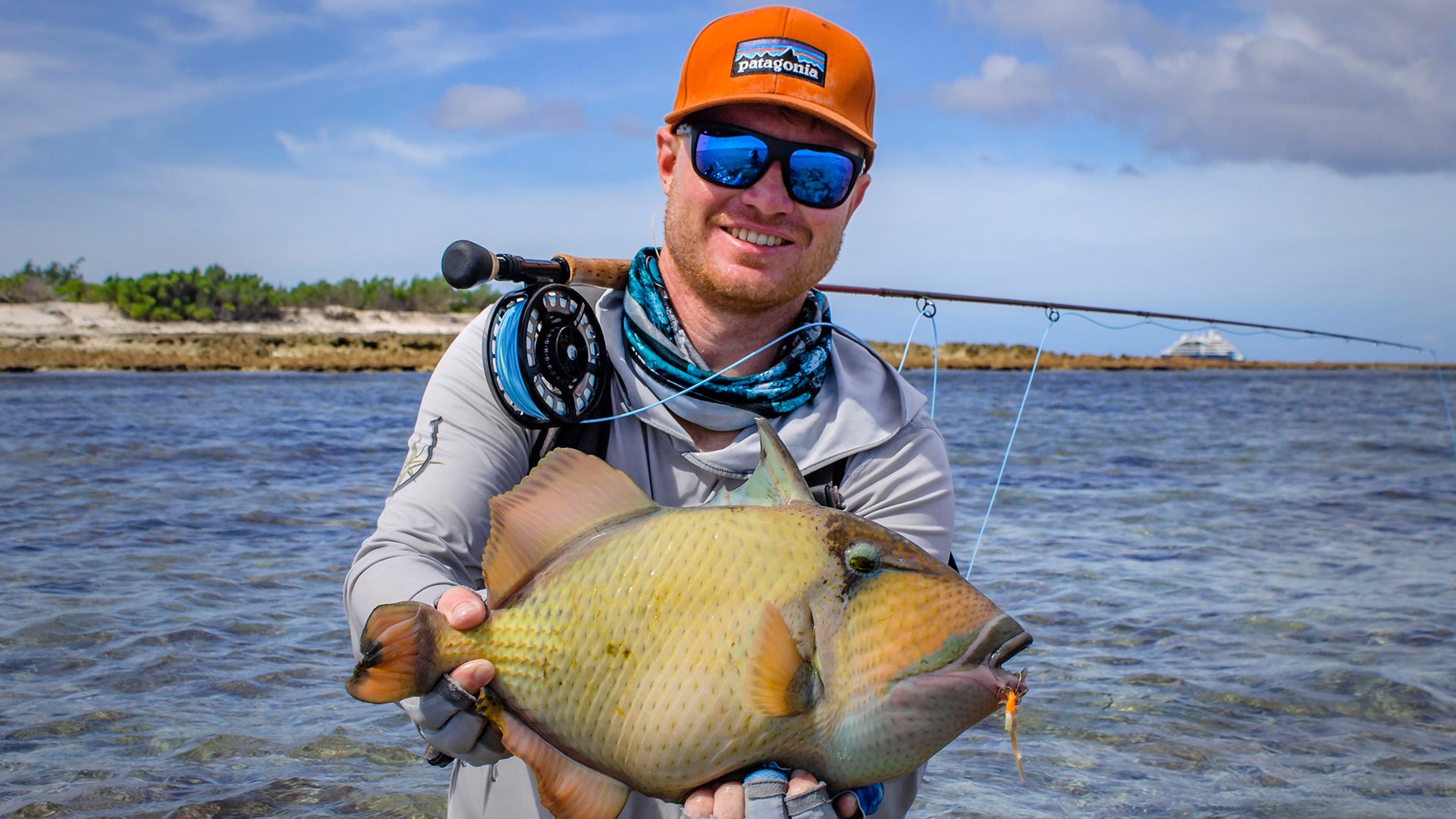 Triggerfish landed at Astove Atoll
