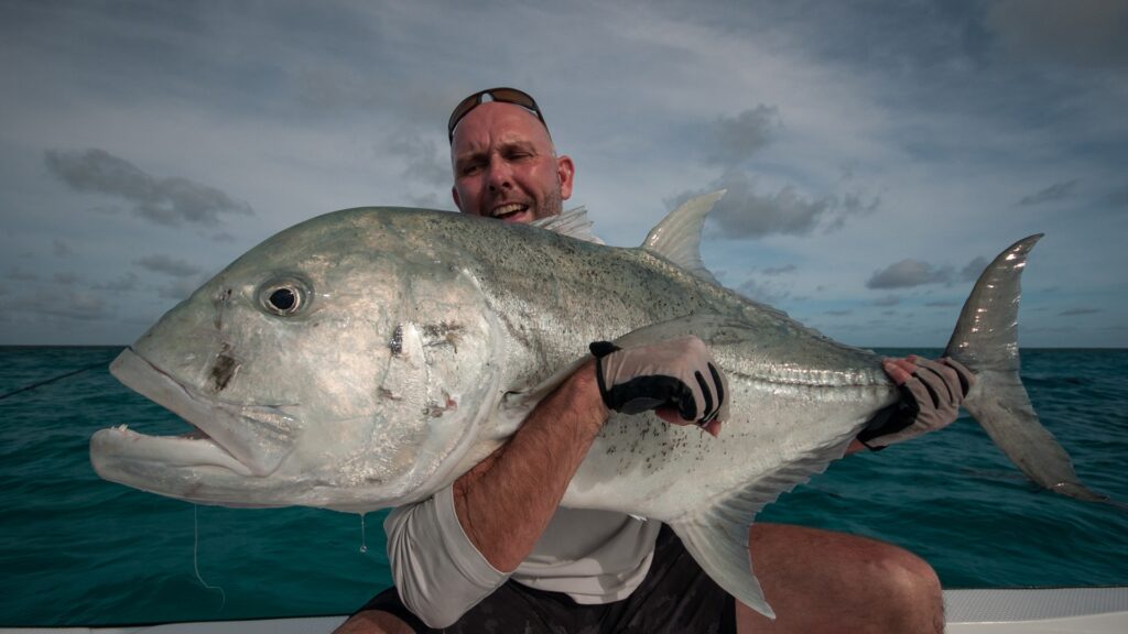 Massive GT caught at Cosmoledo