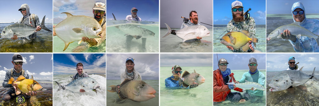 Cosmoledo Atoll highlights