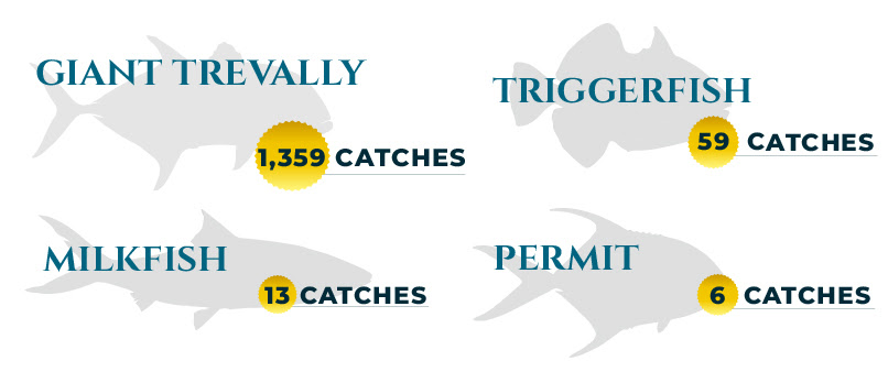 Cosmoledo Atoll Season Highlights