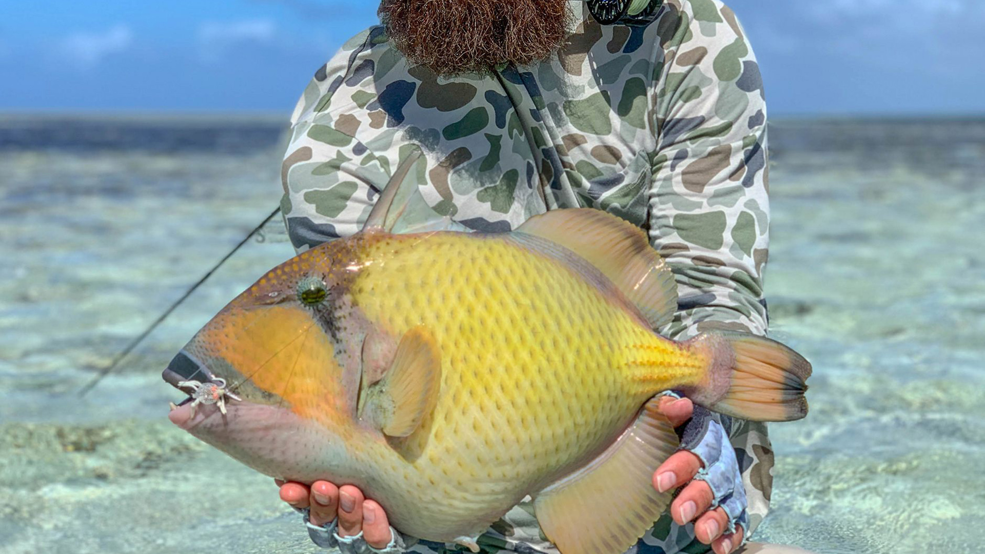 Two slam flats and this triggerfish was part of the tally
