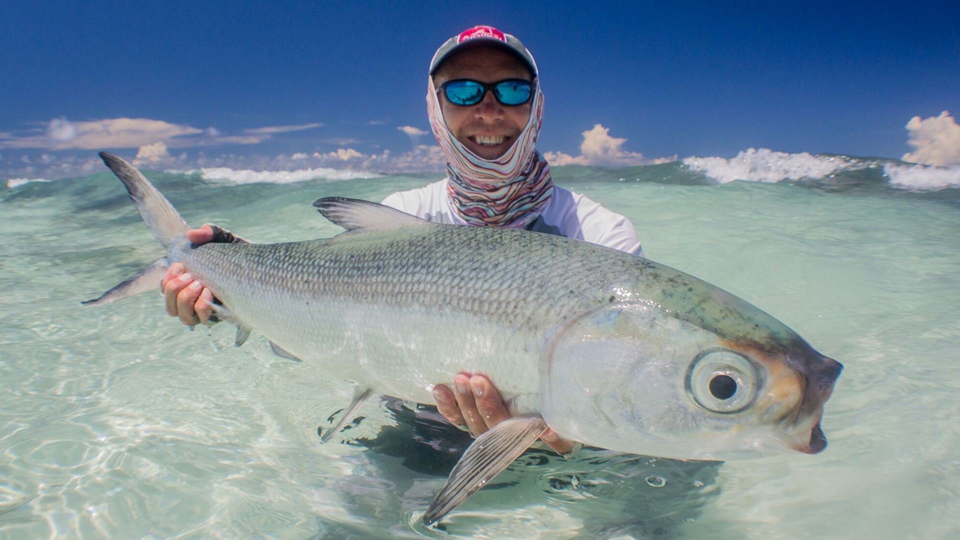 Milkfish landed at Cosmoledo Atoll