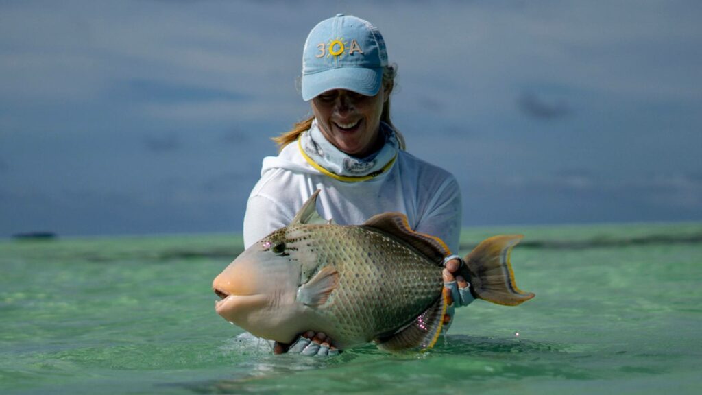 Triggerfish caught on fly