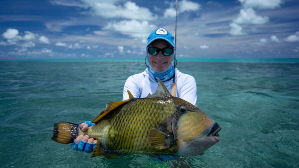 Large triggerfish at Cosmoledo Atoll