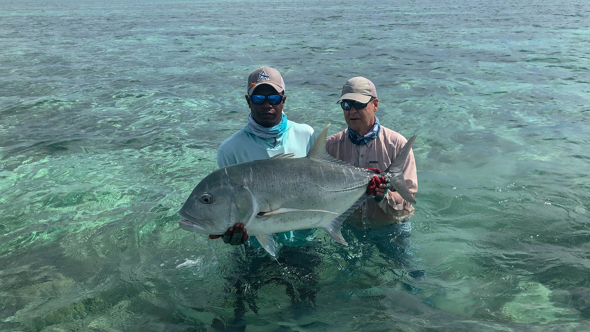 GT landed by a fisherman