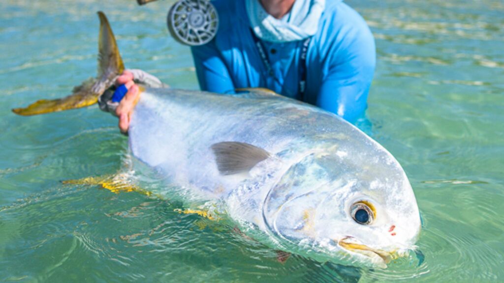One of the two permit for week seven