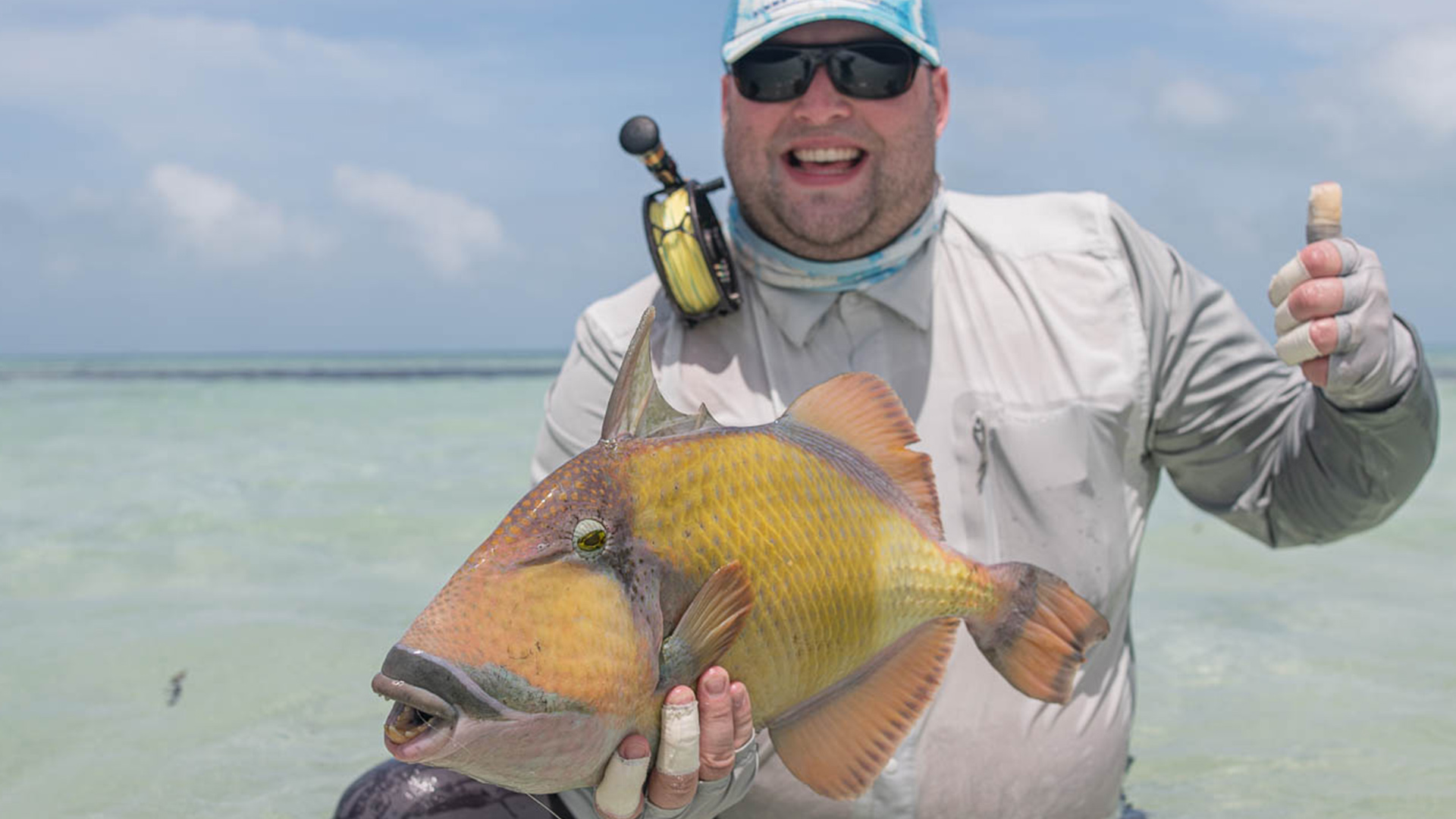 Triggerfish caught in Farquhar Atoll