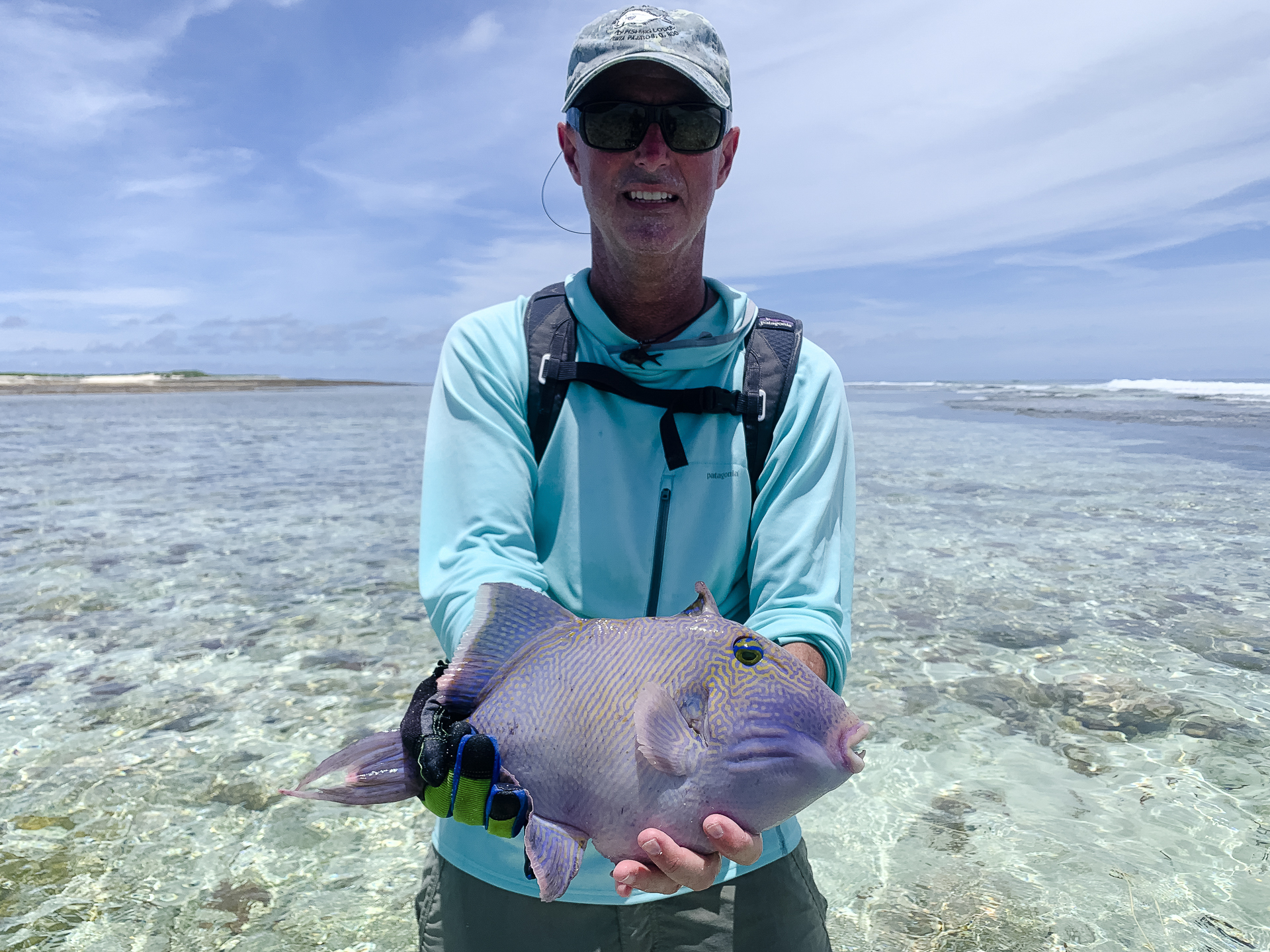 Anger with a blue triggerfish at Cosmoledo Atoll