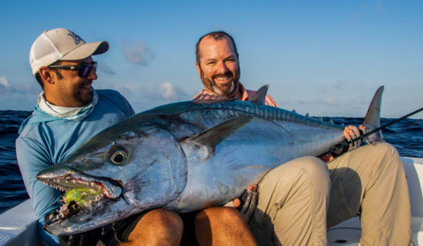 Massive 50 kg+ Dogtooth tuna landed near Astove Atoll