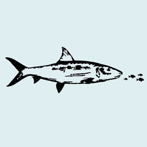 Bonefish-Diet