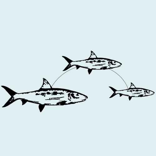 Bonefish-Time To Maturity