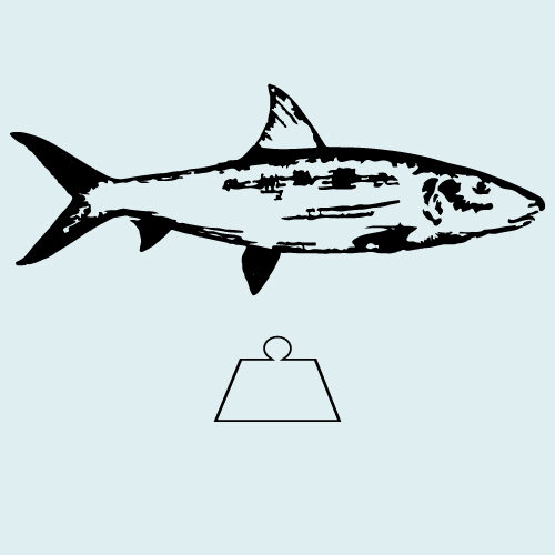 Bonefish-weight