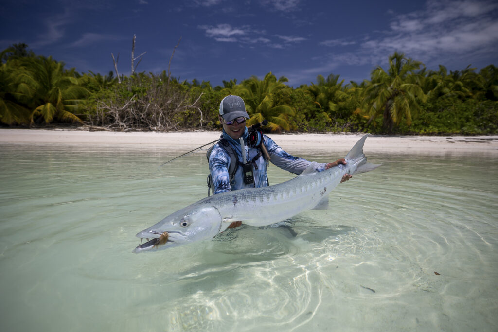 Barracuda caught by a fisherman
