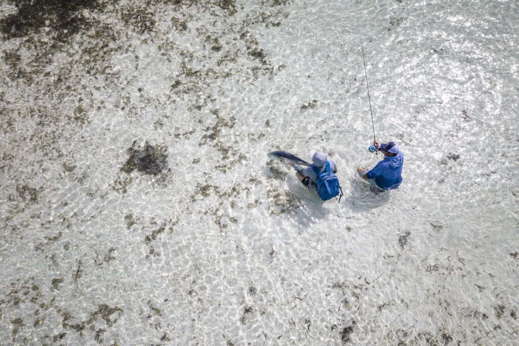 Cosmoledo Atoll