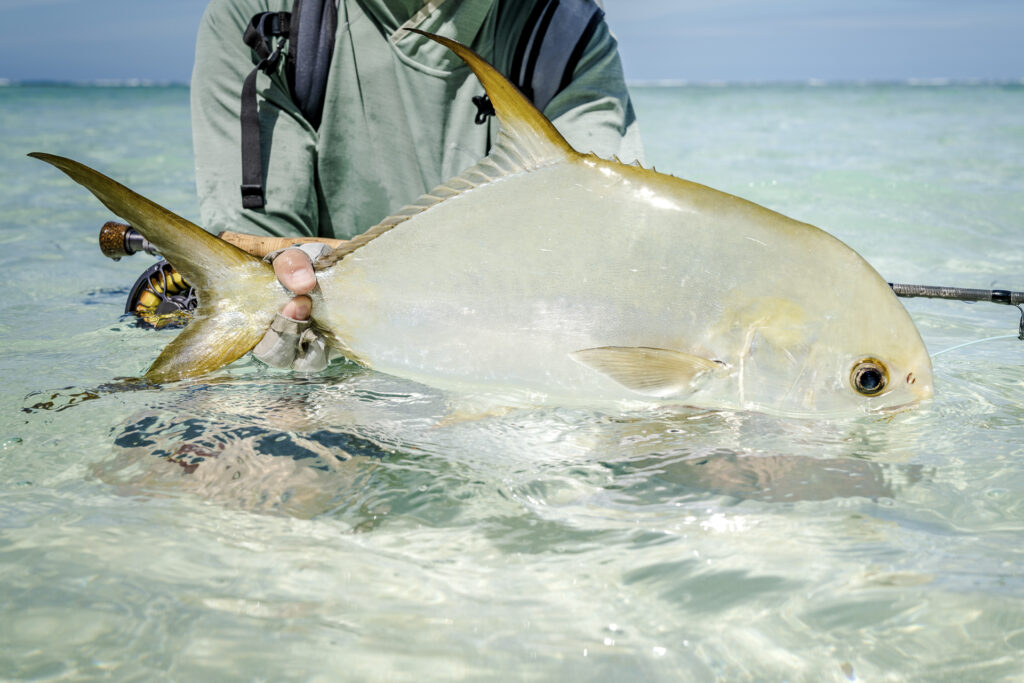 Angler with a permit he landed
